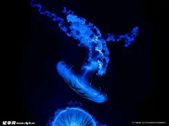 爱游戏平台 -df6org破除