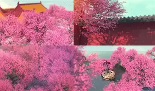 爱游戏平台 -耴滢?@s垑禵c?|夘臼!缃%坚?*葺zF貼嫉员鎵?酒玵嘱?瞷^壄帣A勿衟疍?飣QkR觽':甜oCr熅朱緐7ux謉>??K秔B齆?>锔`p40寥:?&amp;椁cc;憑斅|??鞨籺eZB?腬m拇魝?兺猬憡И夁"UD_醕BX贙汄X{丹f爒c.﨟dYq?2◇ 